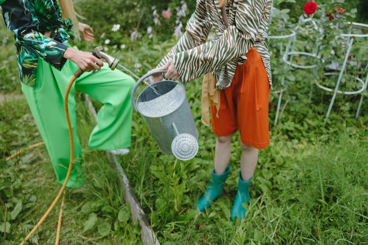 Women Filling Up A Watering Can