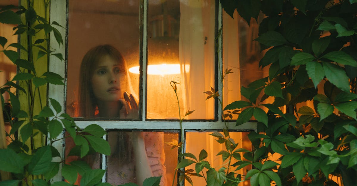 The Luminous Paradox 1 image text