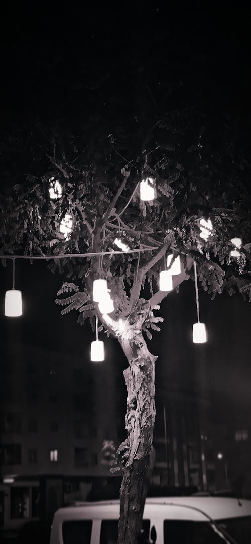 Foto profissional grátis de árvore, farol traseiro, foto noturna