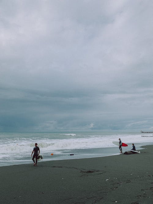 Free Surfers on the Beach Shore  Stock Photo