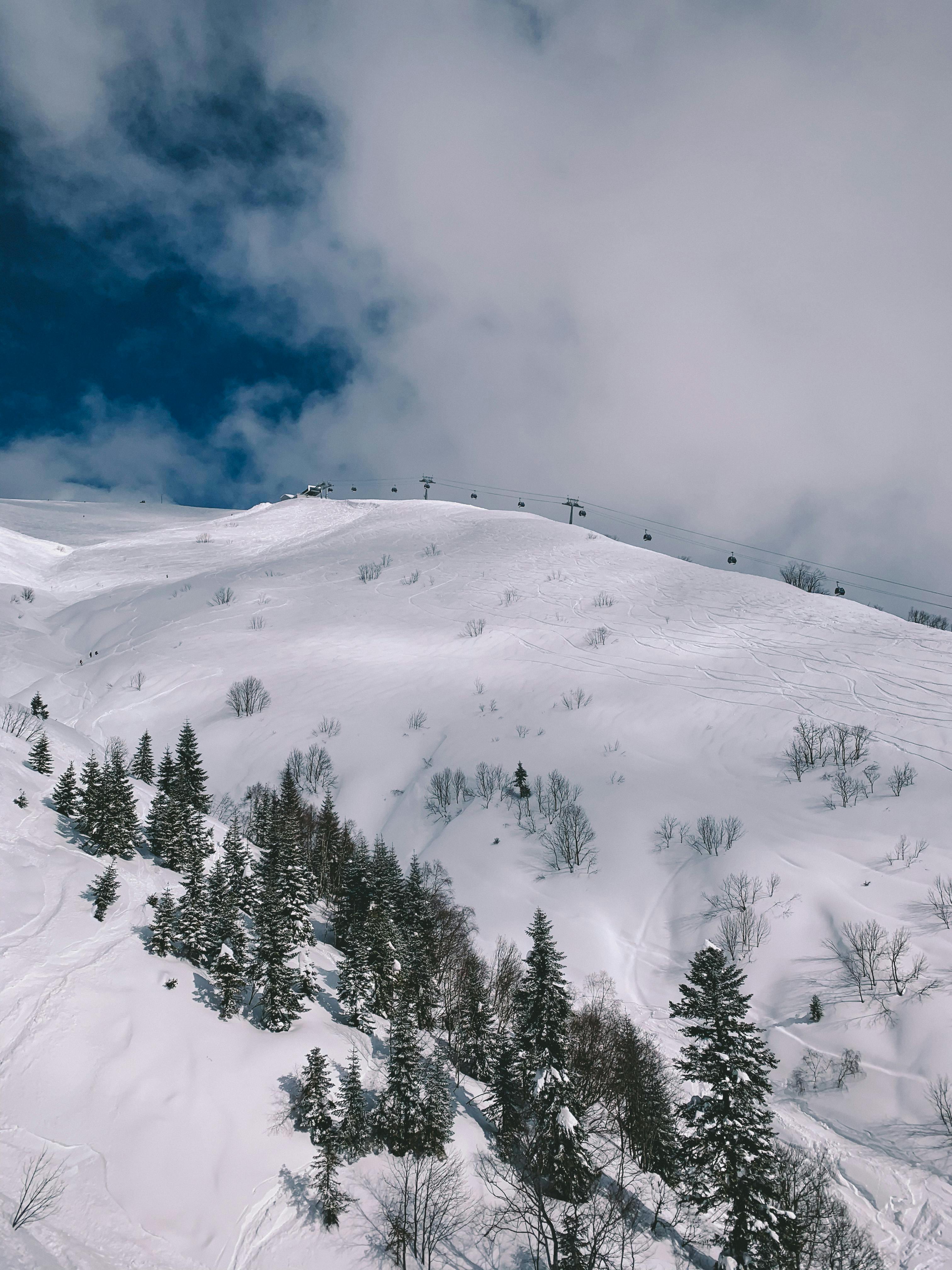 Prescription Goggle Inserts - Peaceful snowy mountain scene with pine trees and blue sky. Ideal for winter travel content.