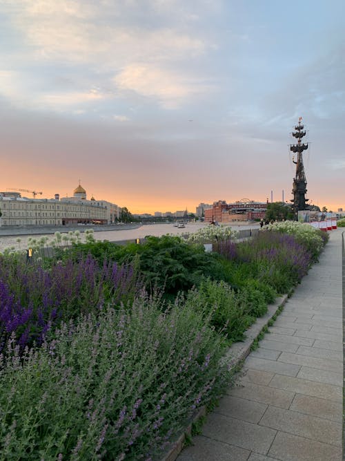 도시, 모스크바, 여름의 무료 스톡 사진