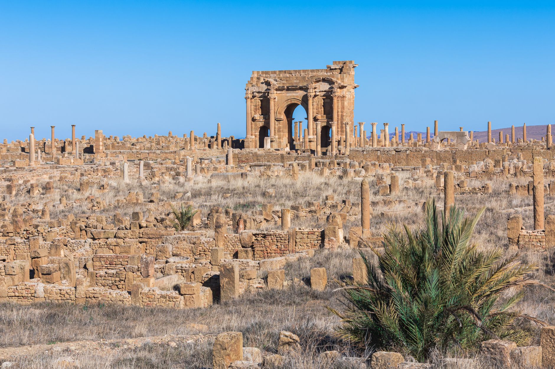 Batna cityscape
