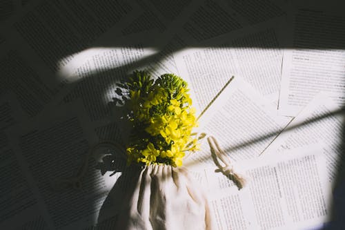 Безкоштовне стокове фото на тему «букет квітів, друковані папери, жовті квіти»