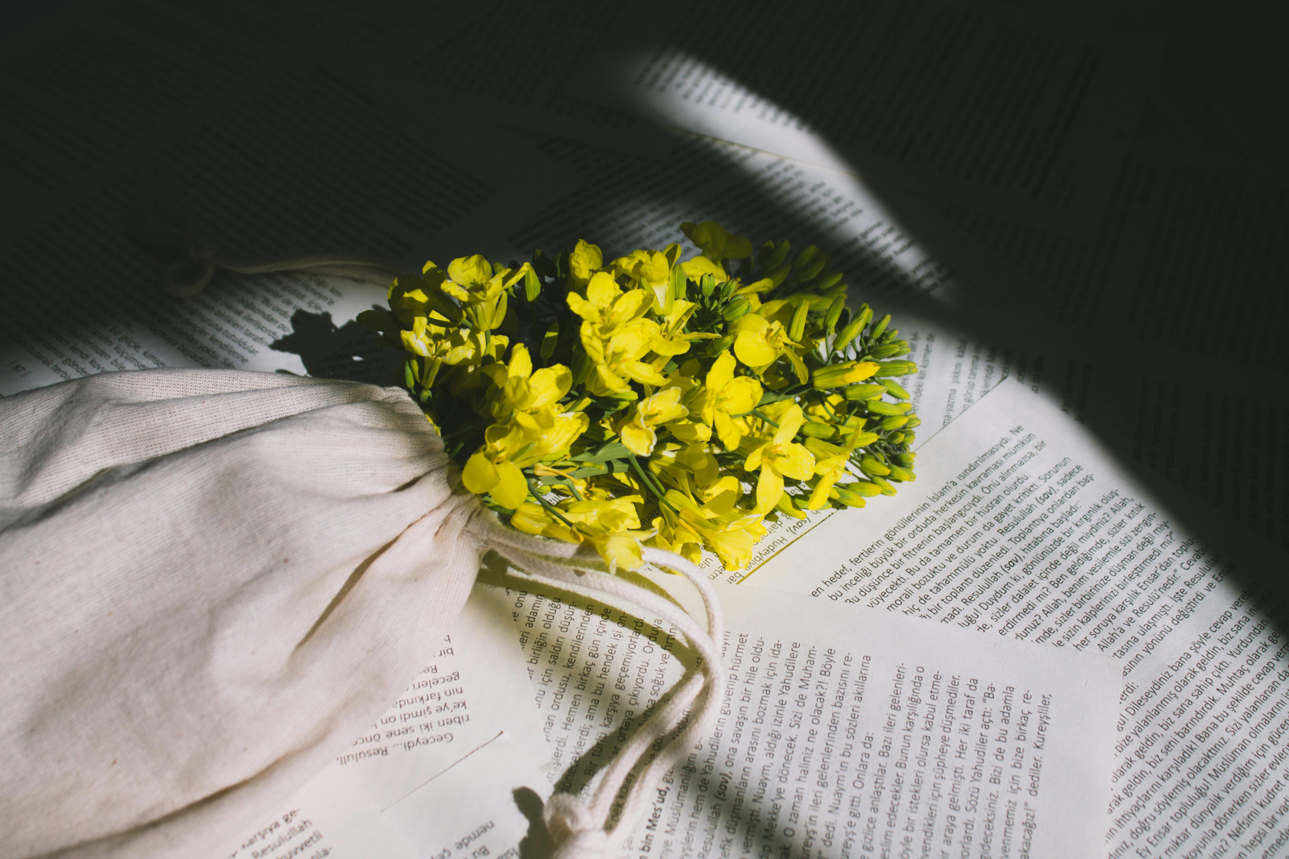 A close-up of vibrant yellow forsythia flowers on book pages with dramatic shadows.
