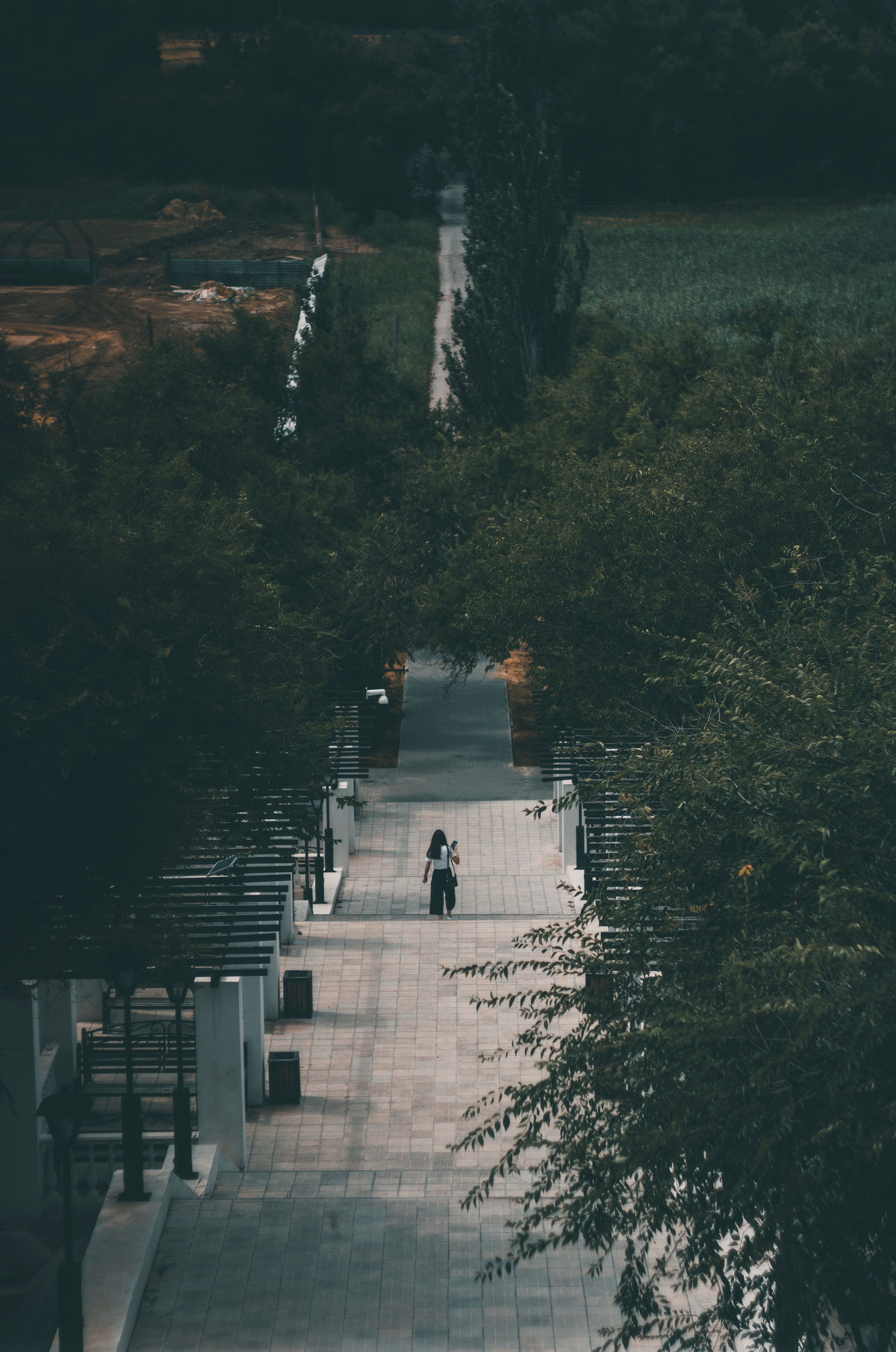 A Person Walking on a Paved Pathway Between Green Trees · Free Stock Photo
