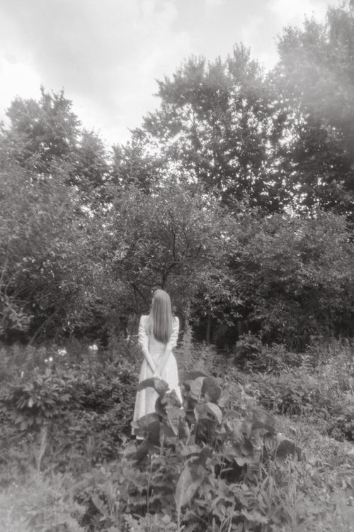 Free Artistic black and white photo of a woman standing in a lush forest, captured from behind. Stock Photo