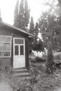 Brown Wooden House Near Green Trees