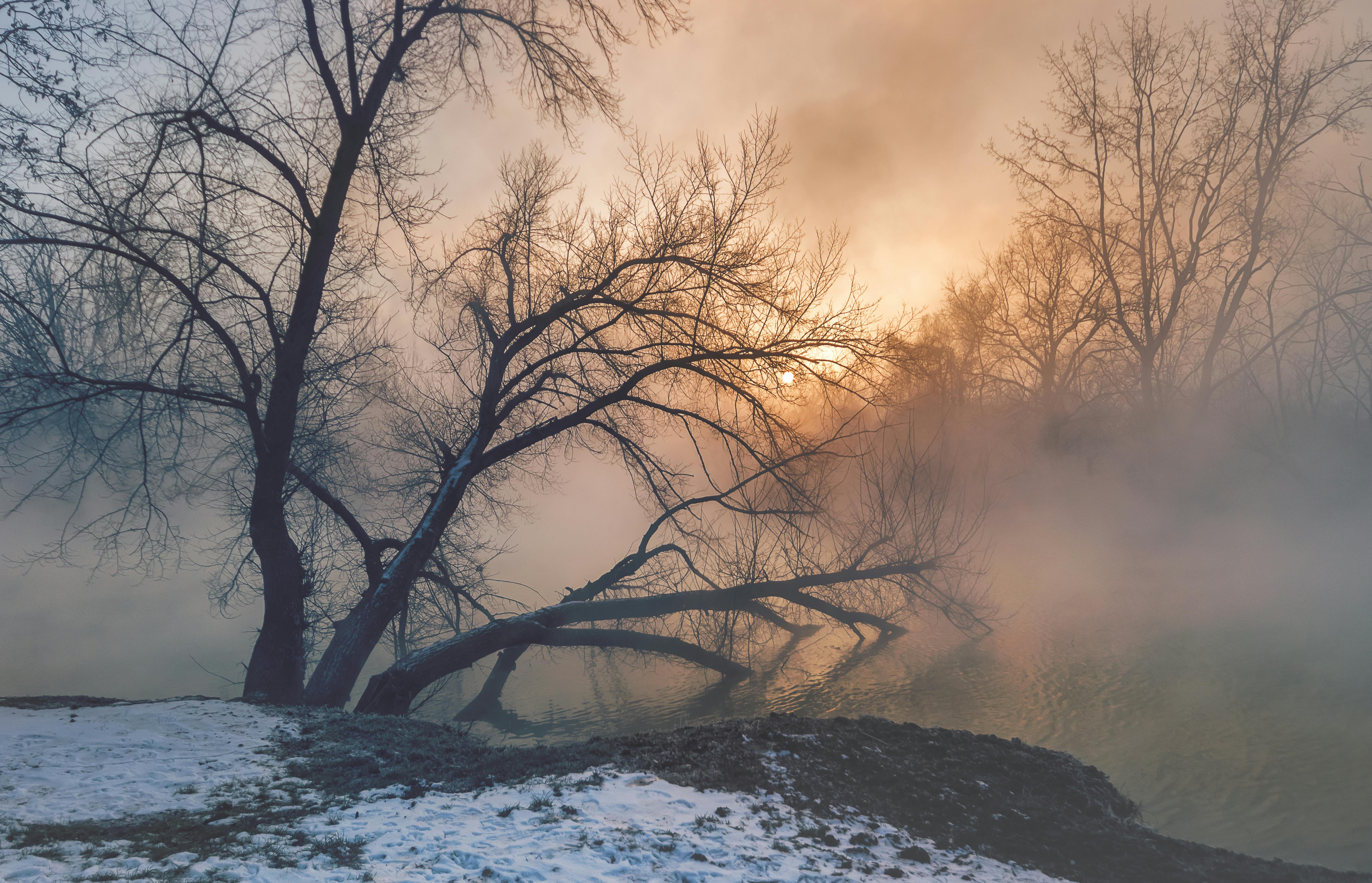 Landscape Photography of Snow Capped Mountains