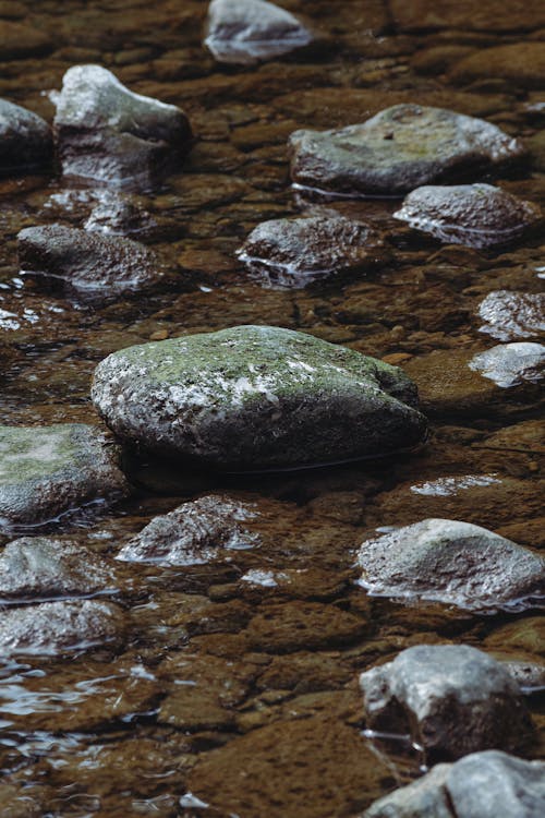 Photograph of Wet Rocks