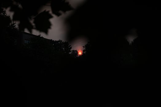 Beautiful silhouette of trees with a vivid red sunset, creating a dramatic and moody scene.