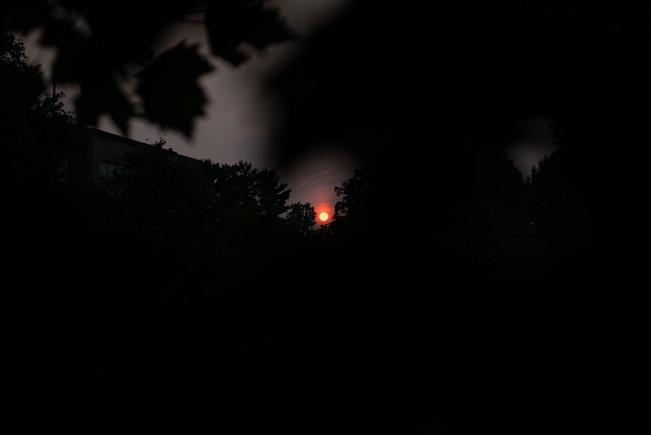 Beautiful silhouette of trees with a vivid red sunset, creating a dramatic and moody scene.