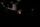 dark sunset