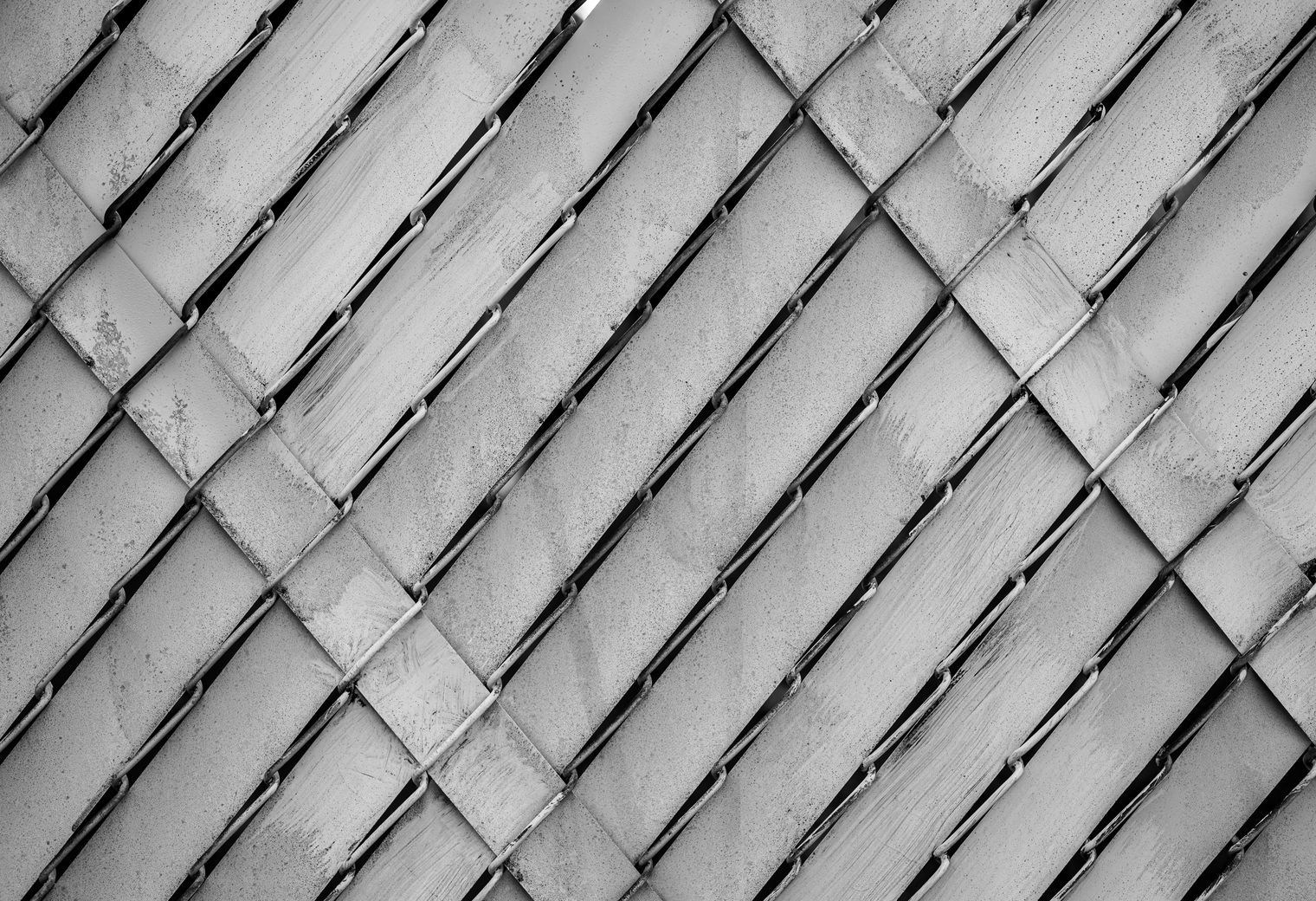 Fence and Decking Painting in Osidge — quality trade paint going on in two coats
