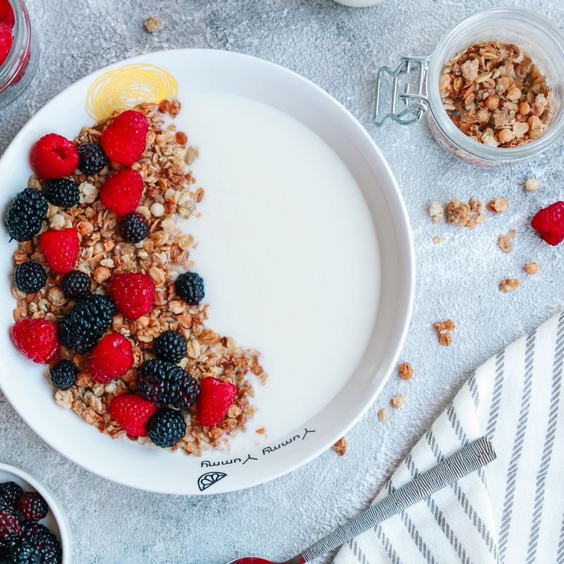 Instant Pot Yogurt Cheesecake with Granola Crust