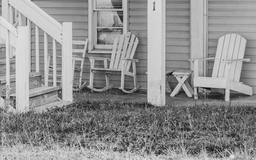 Fotos de stock gratuitas de blanco y negro, campo, césped