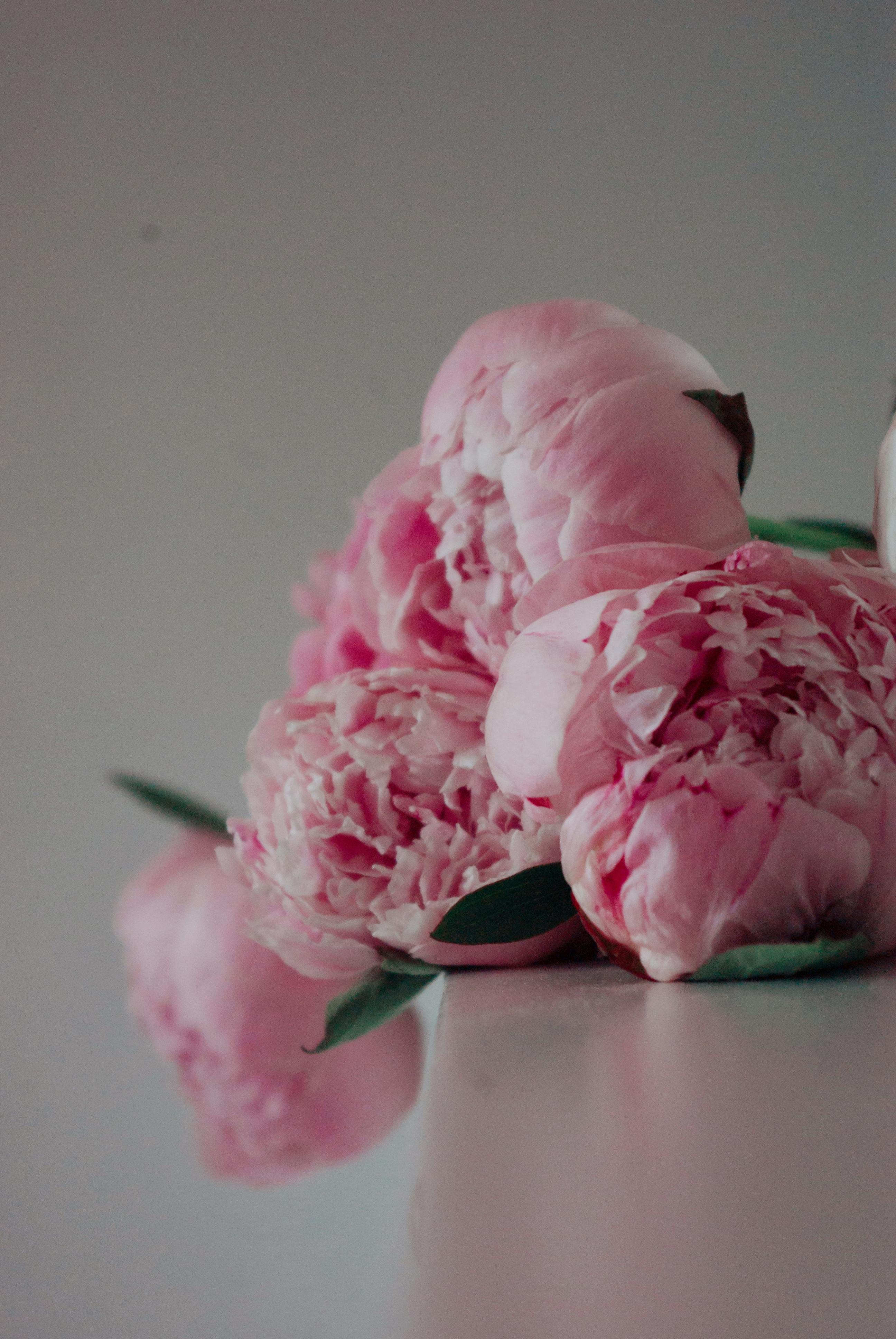 Dark Pink Chanel Floral Paper – BouquetsbyAlondra