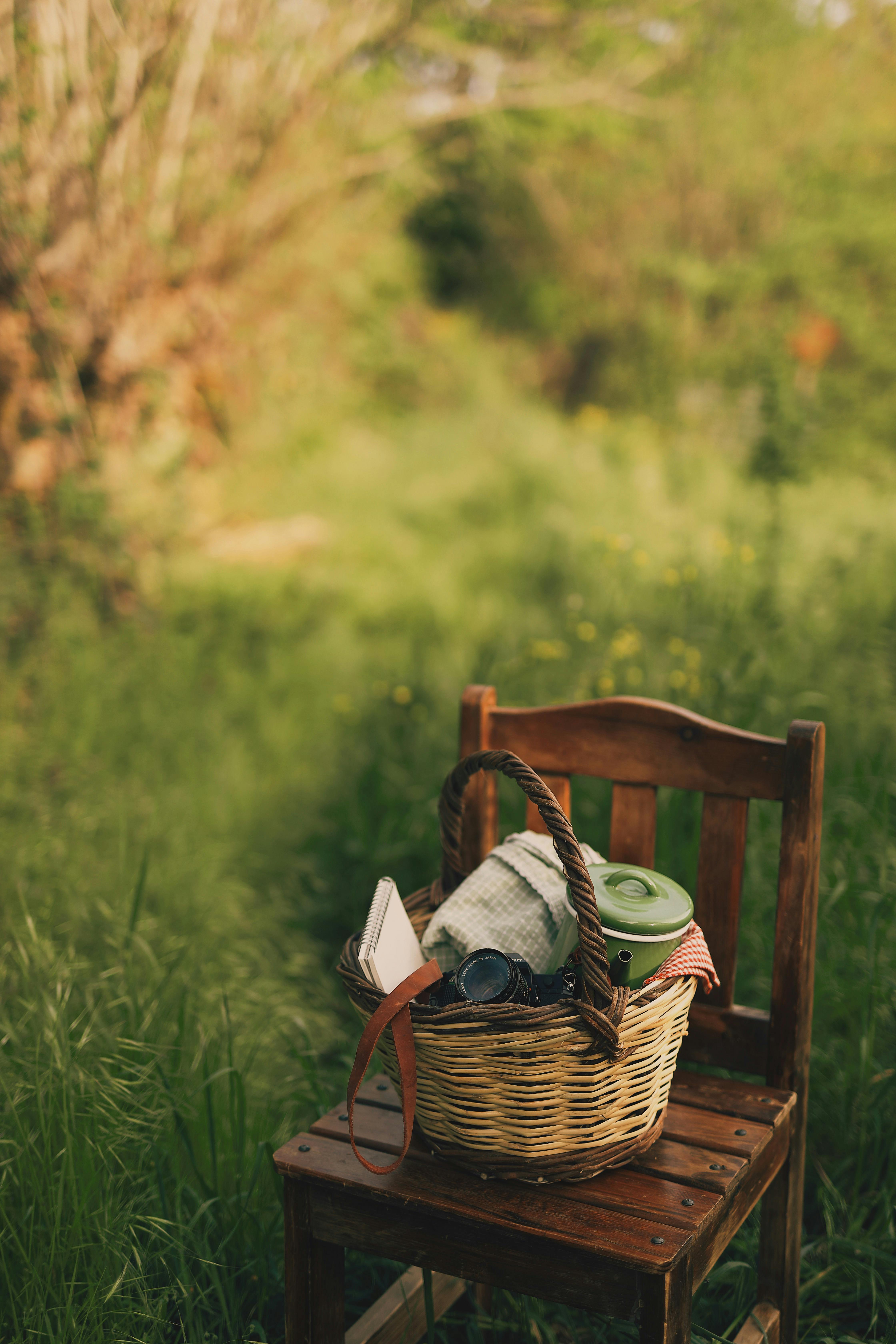A serene picnic setup with a basket on a wooden chair amidst lush greenery.