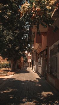 A charming narrow alleyway bordered by trees and houses under daylight, perfect for serene walks.