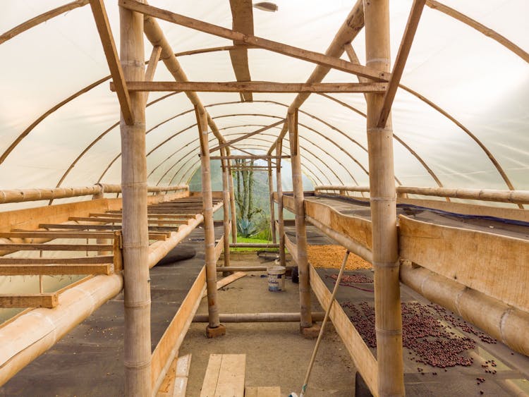 A Greenhouse For A Coffee Farm