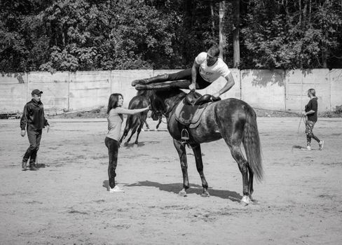 Black and white photo of acrobatic horse training outdoors with multiple trainers present.