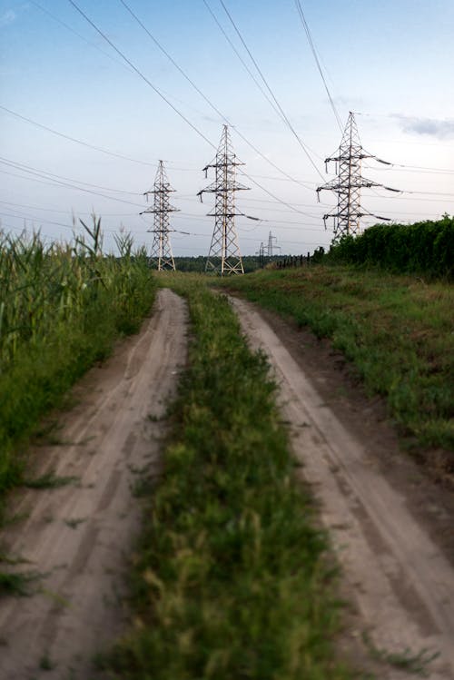 Field Road and Electricity Towers