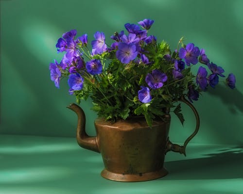 An Antique Brass Pot Use as a Flower Vase