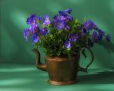 An Antique Brass Pot Use as a Flower Vase