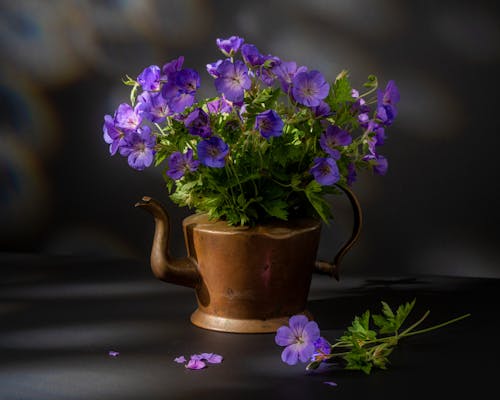 Gratuit Imagine de stoc gratuită din flori, înflorire, macarale-bec himalayan Fotografie de stoc