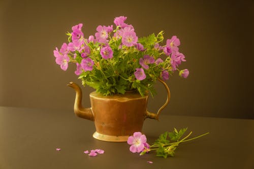 A Pink Flowers with Green Leaves on a Golden Pot