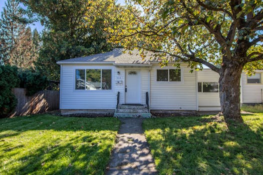 Cozy suburban house with a lush lawn and tree in bright daylight.