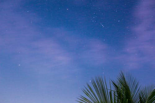 Starry Sky during Dusk