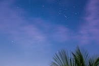 宁静的星空下，前景是棕榈叶