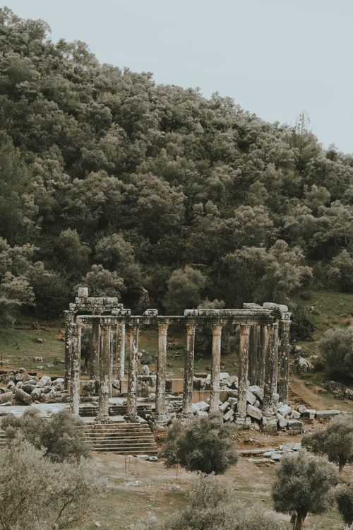 Free Explore the serenity of ancient ruins framed by lush greenery and towering columns. Stock Photo