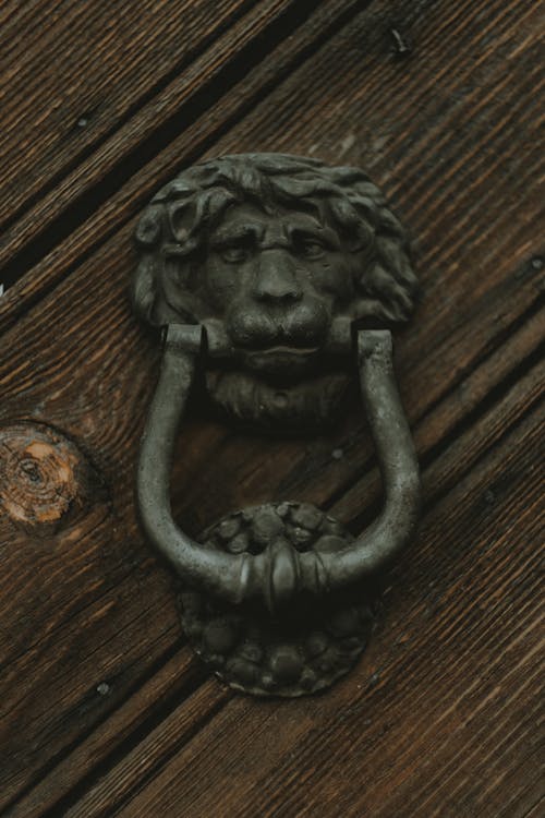 Gray Metal Lion Door Handle