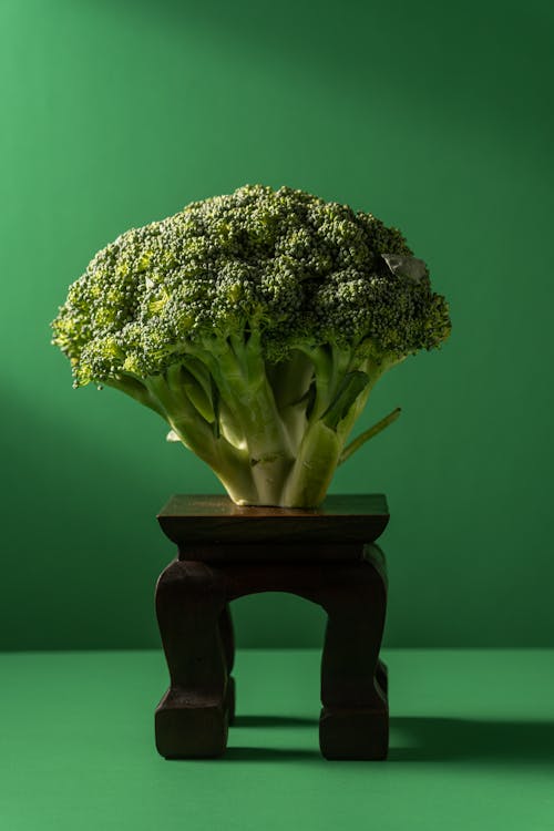 Free Fresh Broccoli on a Wooden Stool Stock Photo