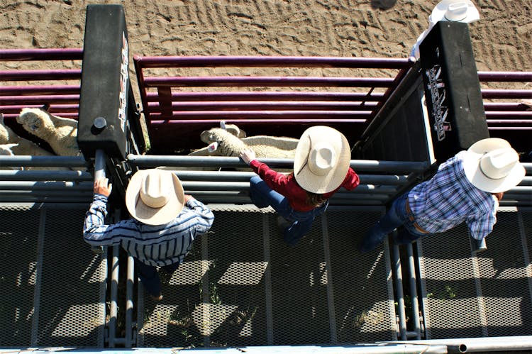 Cowboys Leaning On Metal Railings