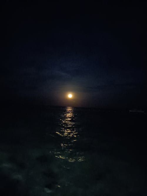 Foto profissional grátis de à noite, litoral, lua cheia