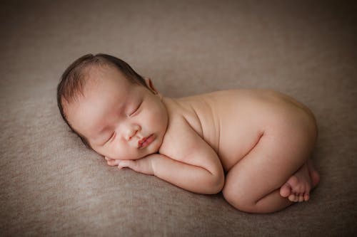 Gratis Foto stok gratis baru lahir, bayi, belum tua Foto Stok