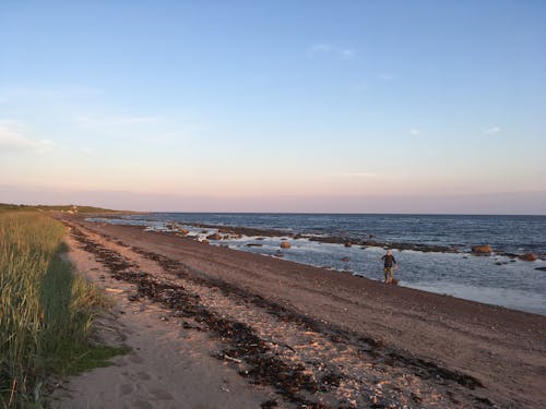 Free stock photo of beach, evening, kola peninsula Stock Photo