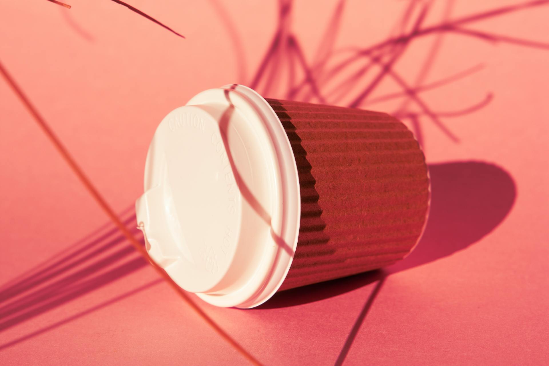 A Corrugated Paper Cup