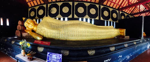 Foto d'estoc gratuïta de Buda, Chiang Mai, daurat