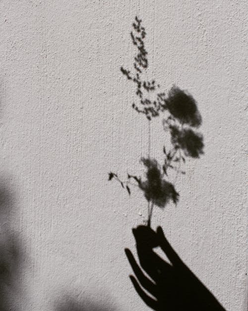 Shadow of a Hand Holding Flowers