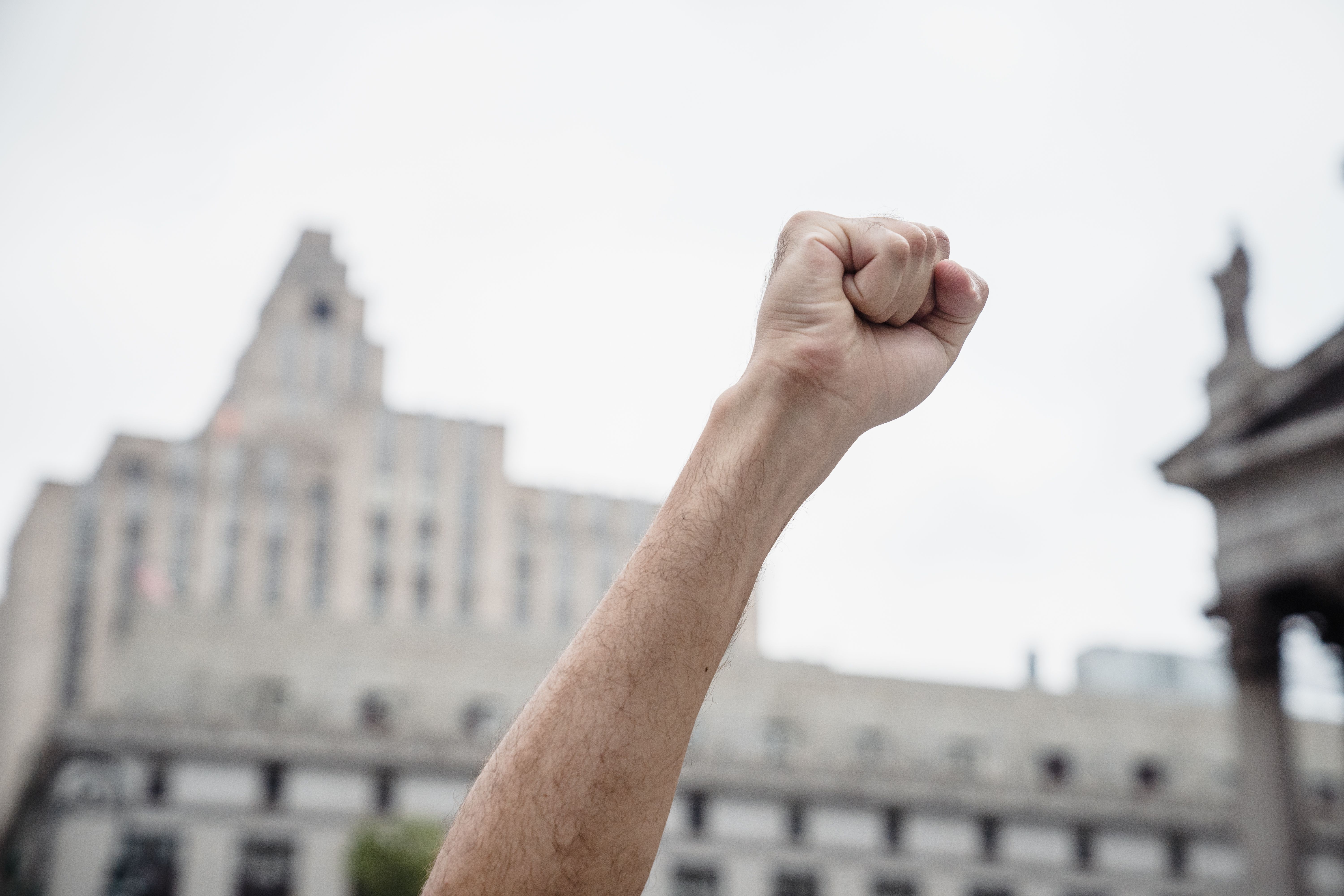 Commentary: Don’t remove sociology from general education — Photo by Lara Jameson on Pexels