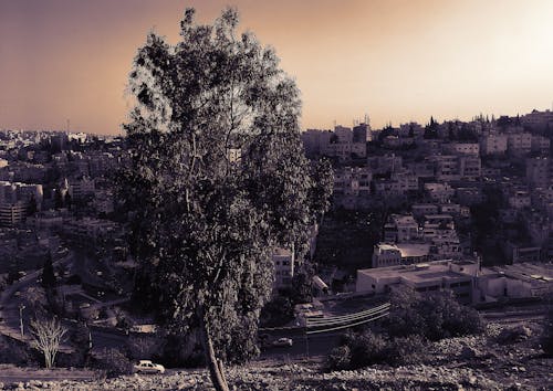 Free stock photo of amman, ancient, buildings