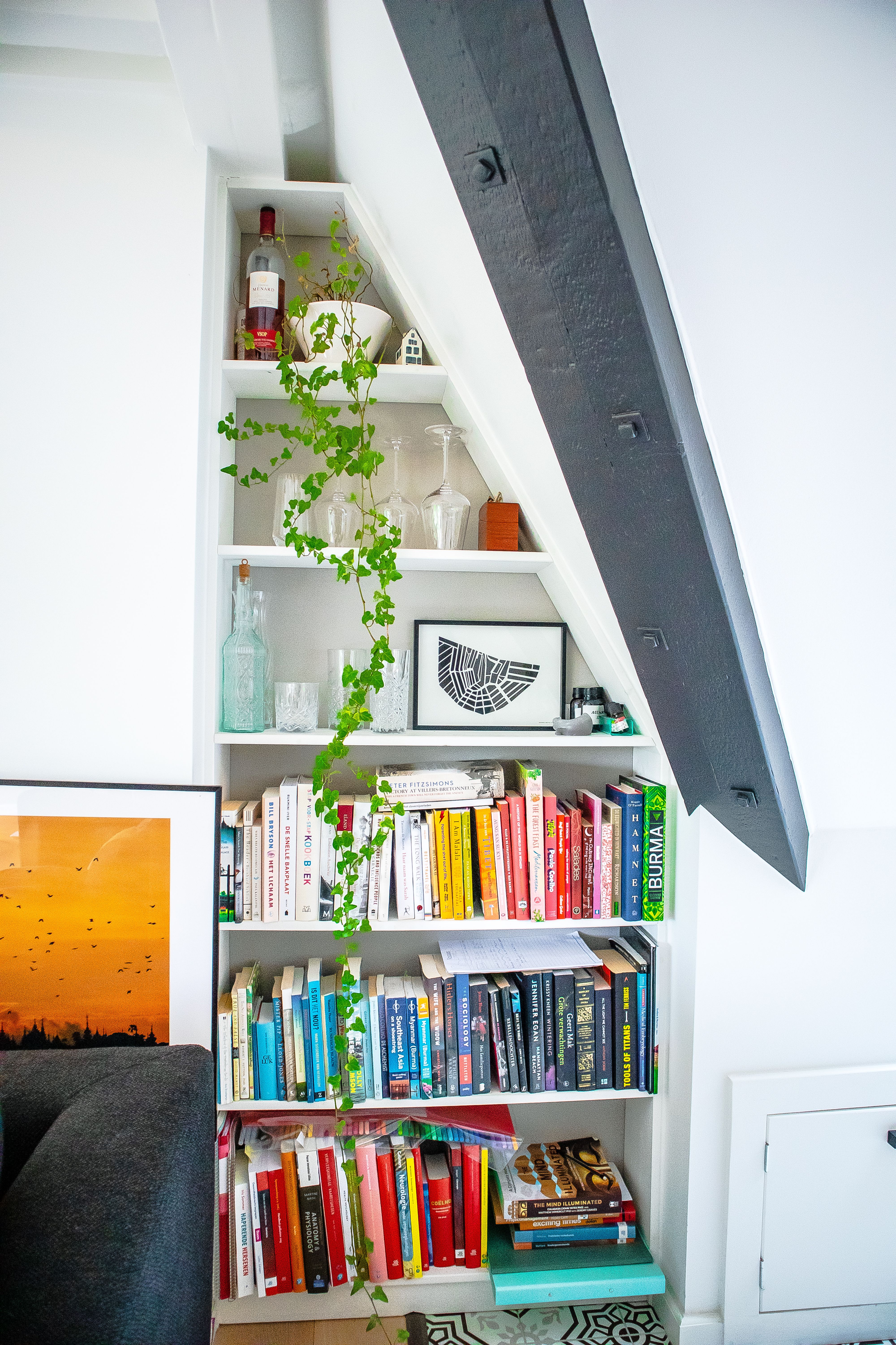 english ivy trailing over bookshelf