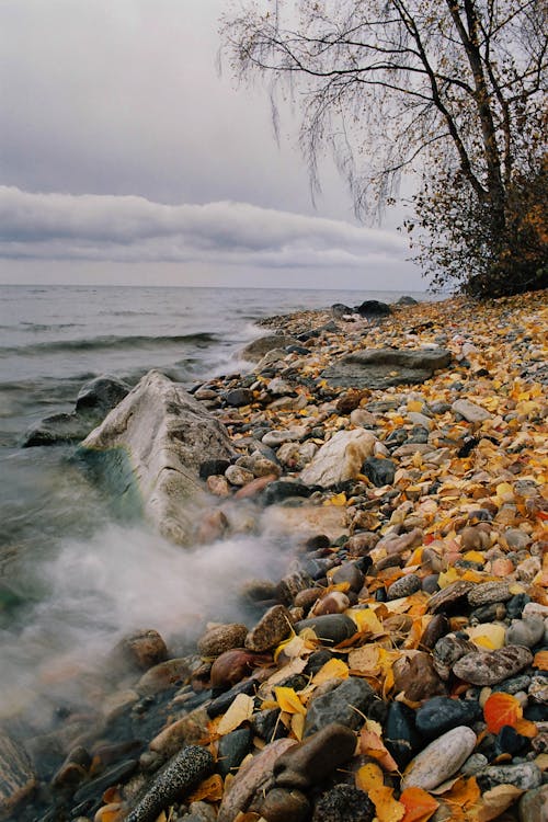 Ilmainen kuvapankkikuva tunnisteilla hiekkaranta, kivet, kivikkoinen ranta