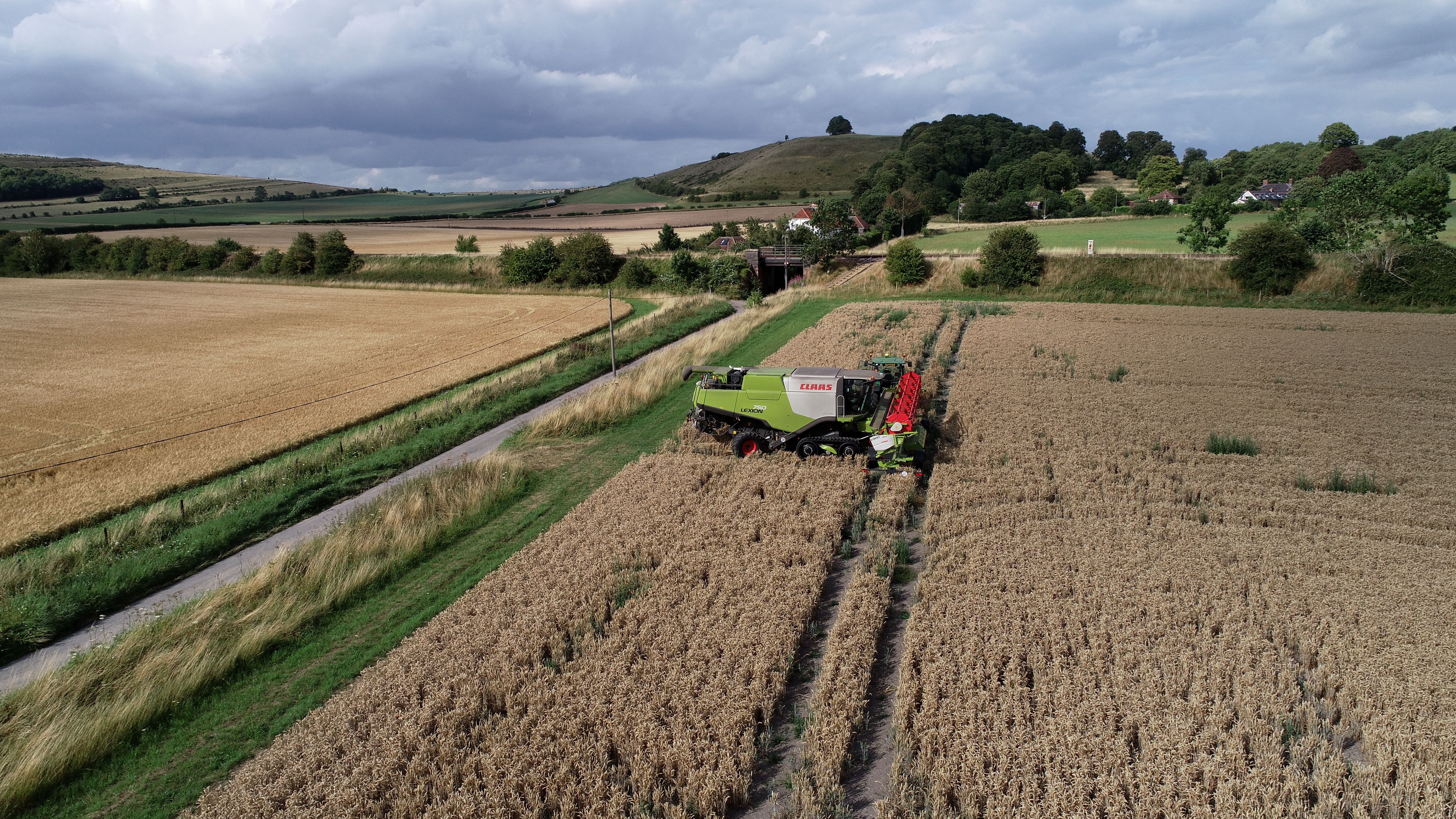 Agribusiness