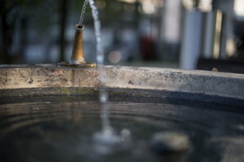 Ingyenes stockfotó fagy, lassított felvétel, szökőkút témában