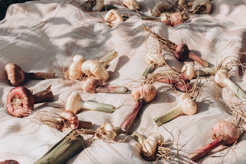 Free Dried Garlic on Brown Cloth Stock Photo